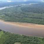 CULTIVOS DE COCA Y DEFORESTACIÓN EN EL GUAVIARE